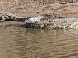 Western_Corridor2009-91